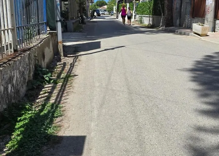 Ejoa Summer 格勒姆